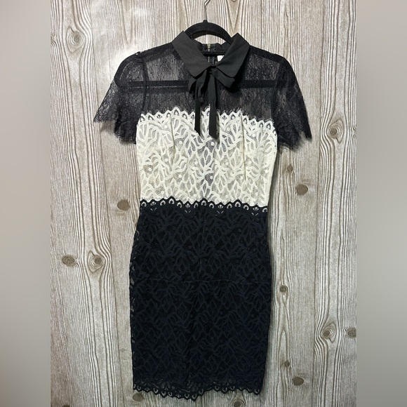 Sandro Paris Rosen Two Tone Sheer Mini Dress Sz 2 - Picture 15 of 16